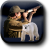 Hunter